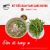 Hủ tiếu giò heo